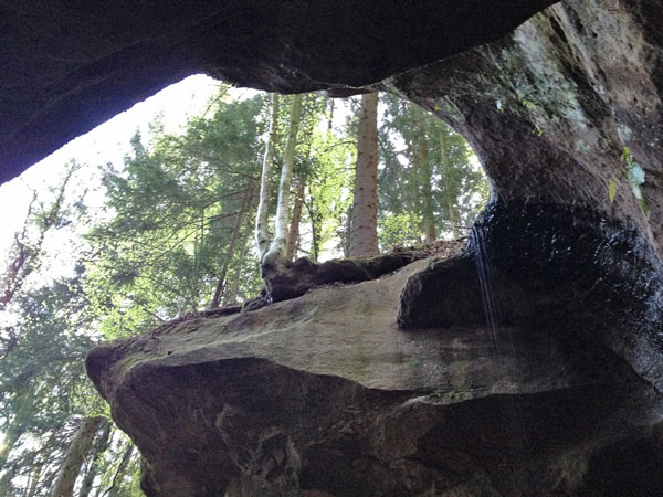 Felsenhöhle mit Blick auf Bäume und Sonnenlicht im Wald.