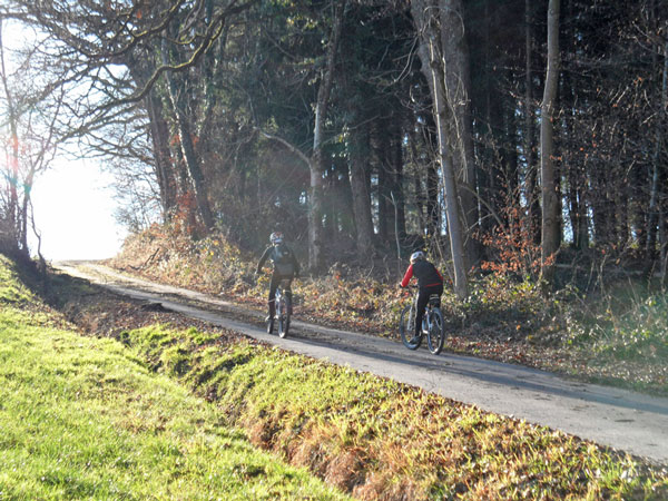 Zwei Radfahrer auf sonnigem Waldweg.